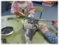 /album/pintamos-delfines/pintar-6-jpg/